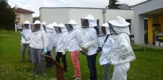 des apiculteurs