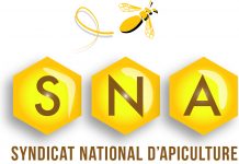 Annonce du Projet Plan de lutte Nationale contre le frelon asiatique à pattes jaunes