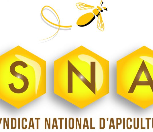 Annonce du Projet Plan de lutte Nationale contre le frelon asiatique à pattes jaunes