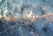 Congés de fin d’année