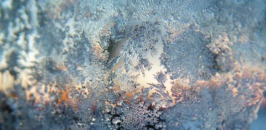 Congés de fin d’année