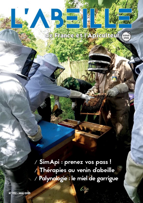 Face aux importations de miel à bas prix, des apiculteurs français