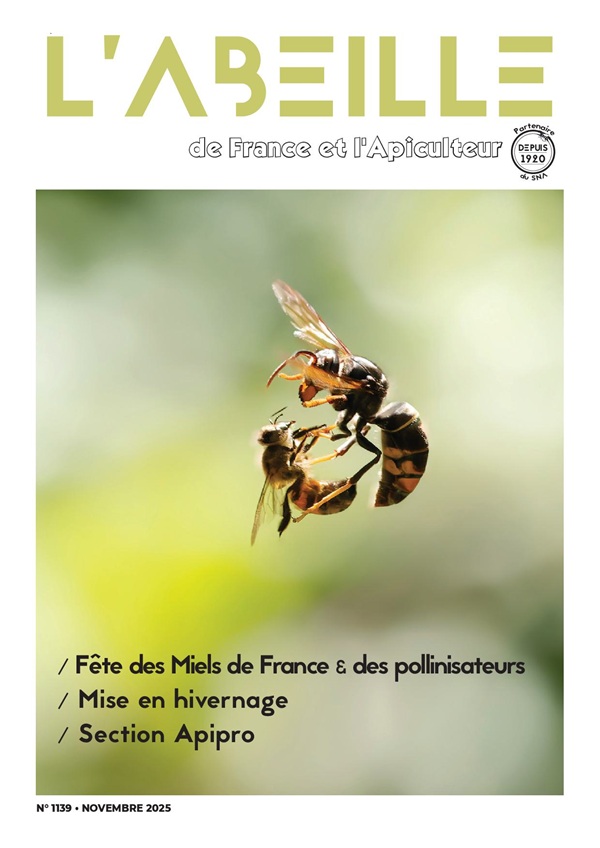 labeilledefrance-novembre-2025-1139