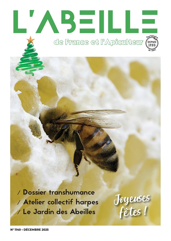 labeilledefrance-decembre-2025