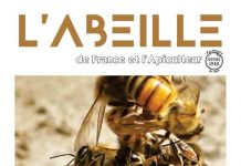 L’Abeille de France de février 2026 – N°1142