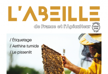 L’Abeille de France de juin 2026 – N°1146