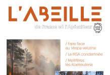 L’Abeille de France de septembre 2026 – N°1148