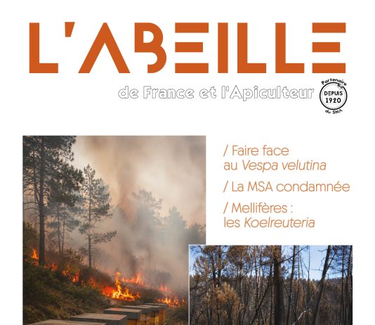 L’Abeille de France de septembre 2026 – N°1148
