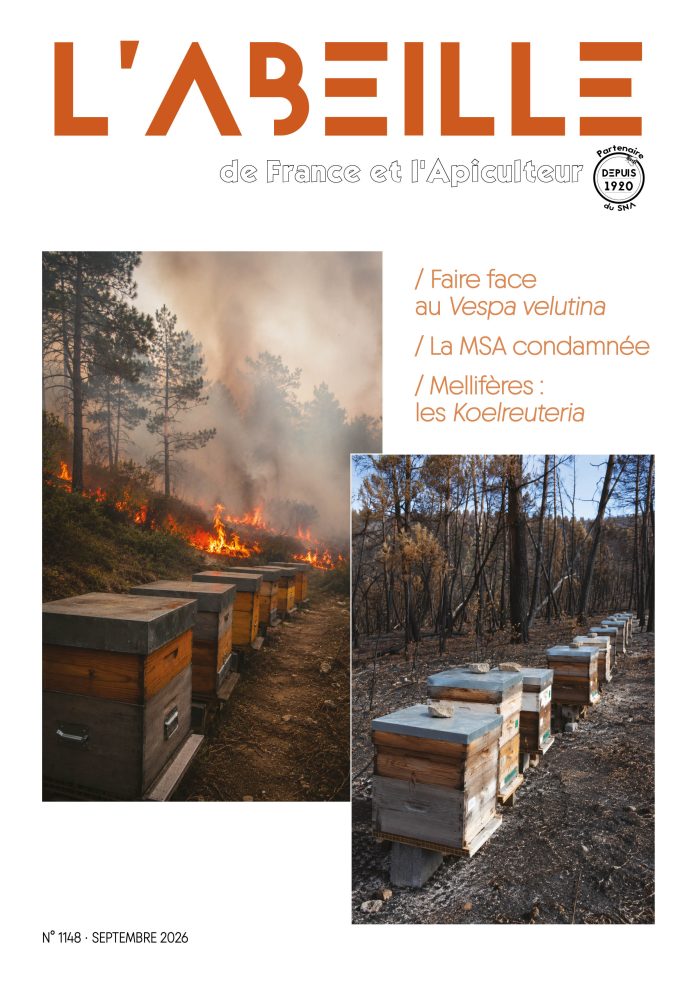 ADF_1148-SEPTEMBRE-couverture