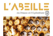 Vie des structures apicoles d’octobre 2026